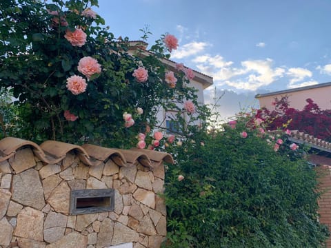 Marco's house House in Sardinia