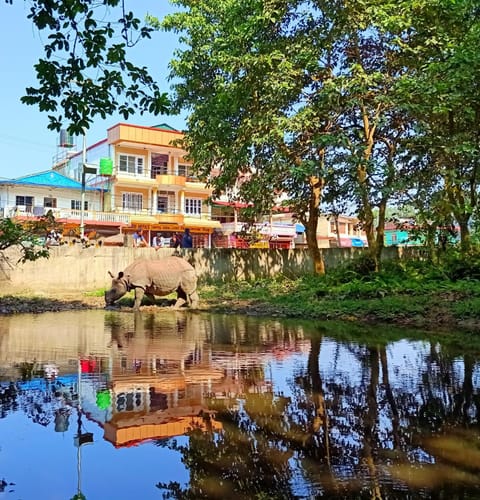Natural landscape, Lake view