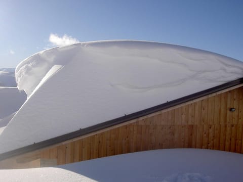 Winter, Area and facilities