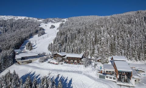Berghotel Blaickner's Sonnalm Hotel in Zell am See