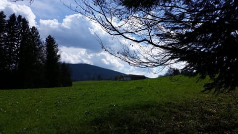 Natural landscape