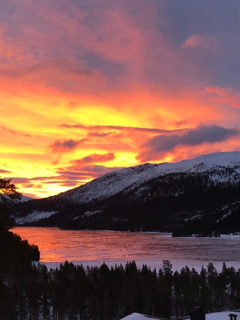 Sunrise