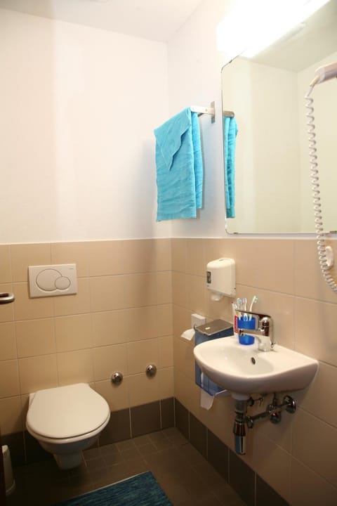 Toilet, Bathroom, On site