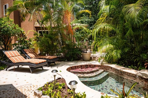 Patio, Garden, Balcony/Terrace