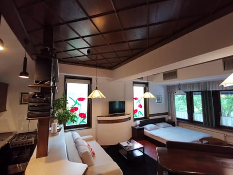 Communal lounge/ TV room