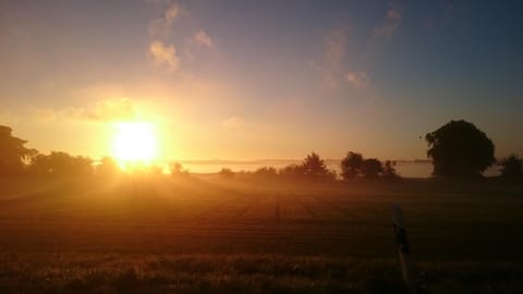 Natural landscape