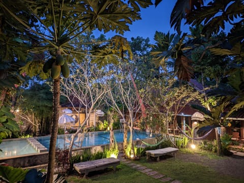 Natural landscape, Garden, Garden view, Pool view, Swimming pool, sunbed