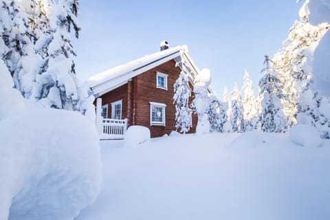 Facade/entrance, Facade/entrance, Winter, Skiing, Hiking, Area and facilities