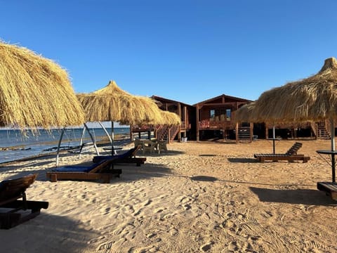Beach, sunbed
