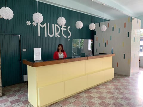 Staff, People, Property logo or sign, Lobby or reception, Logo/Certificate/Sign