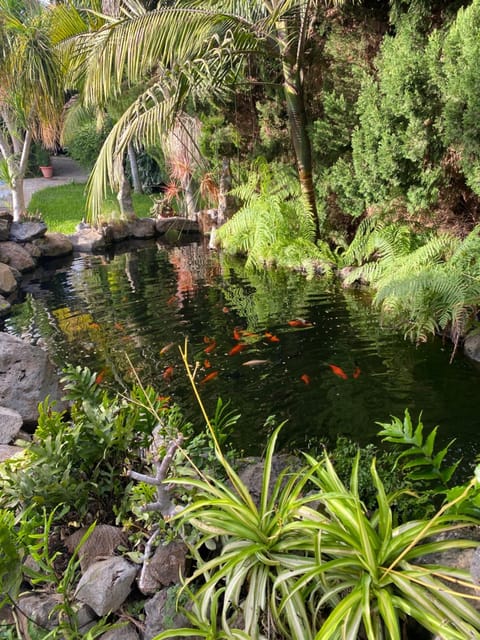Natural landscape, Garden