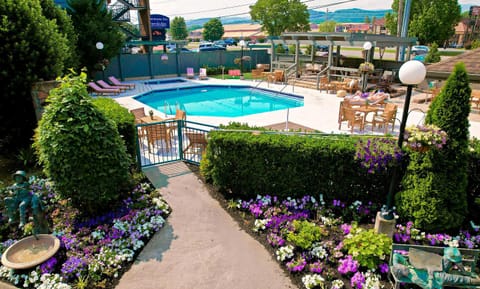 Spring, Garden, Garden view, Swimming pool