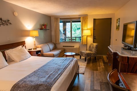 Bed, Living room, Photo of the whole room, Seating area, Bedroom