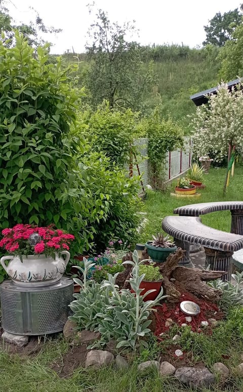 Kuca za odmor Zicanka House in Serbia