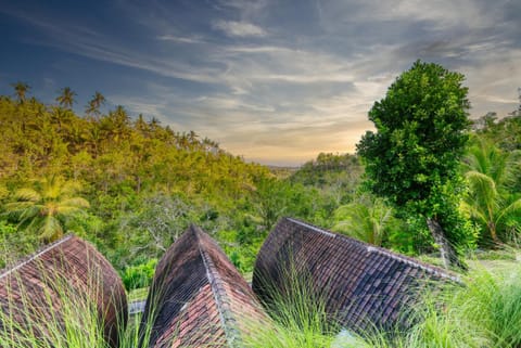 Property building, Sunset