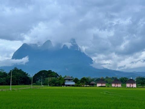 Natural landscape, Mountain view