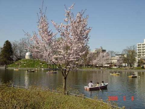 Spring