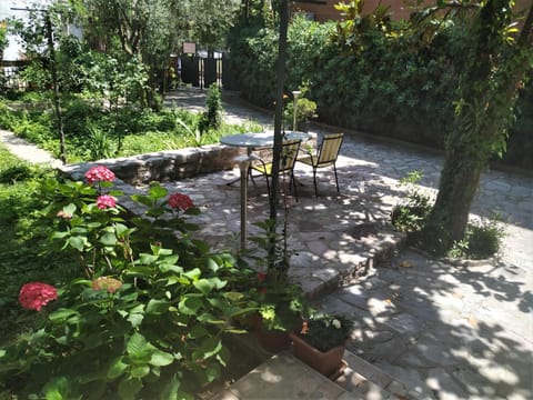 Patio, Garden