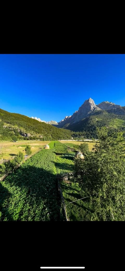 Guesthouse Skender Selimaj Bed and Breakfast in Montenegro