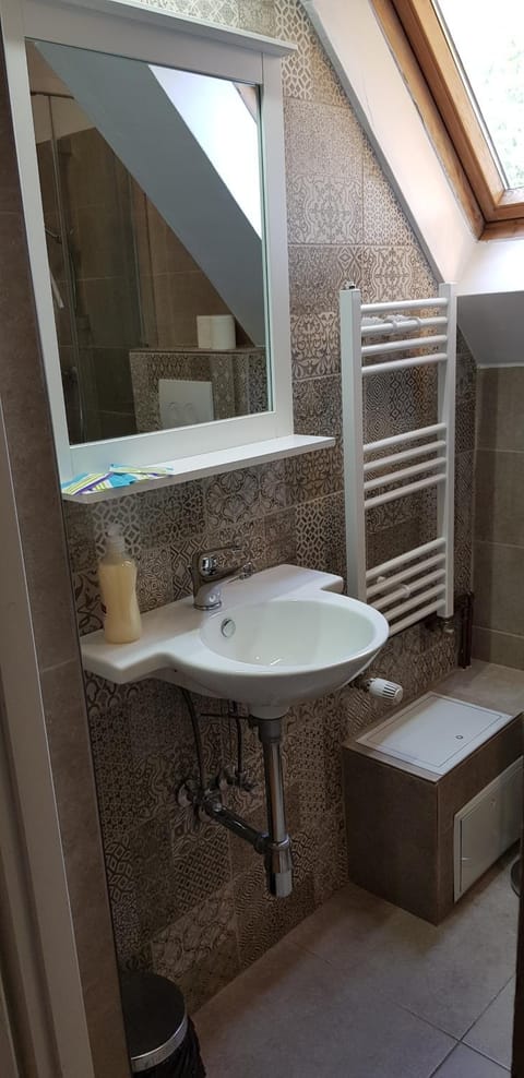 Pension Casa Leone Bed and Breakfast in Timisoara