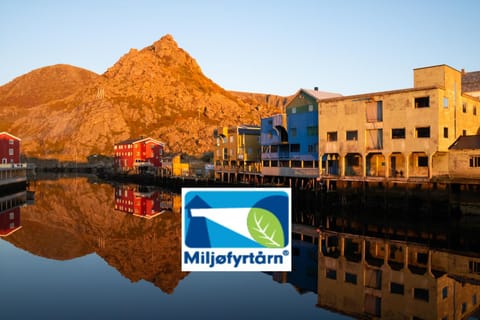 Sea view, Area and facilities