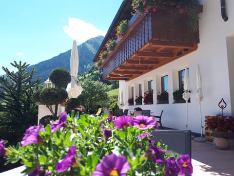 Balcony/Terrace, Balcony/Terrace