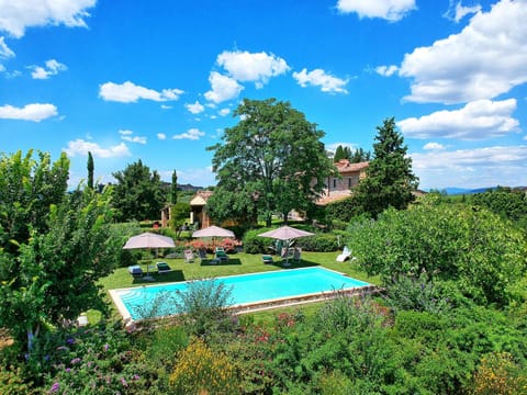 Bird's eye view, Garden, Swimming pool