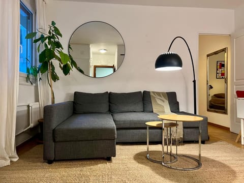 Central 2 bedroom flat in heart of Eaux-vives Apartment in Geneva