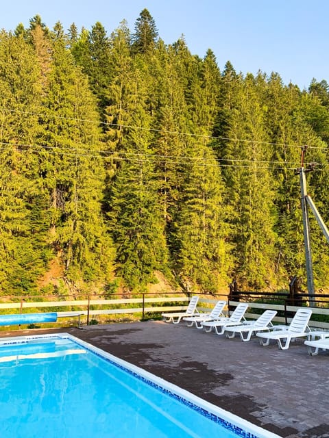 Natural landscape, Pool view, sunbed