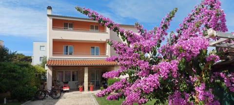 Property building, Facade/entrance, Garden