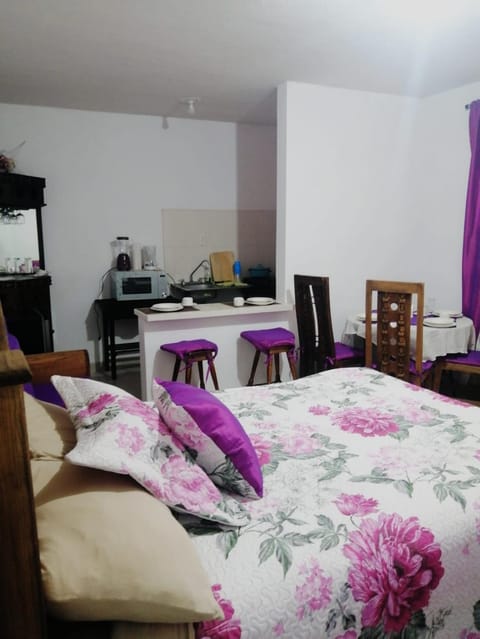 Gedayealdi Apartment in State of Puebla