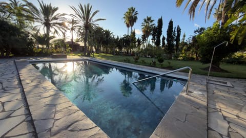 Garden, Garden, Swimming pool