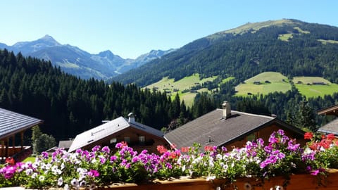 Hanslerfeld Apartment in Alpbach