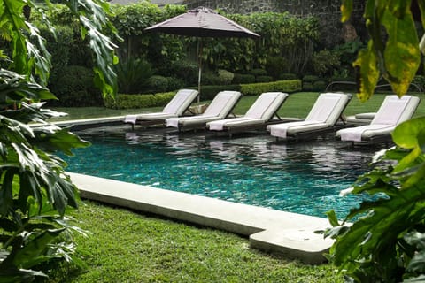 Garden, Pool view, Swimming pool