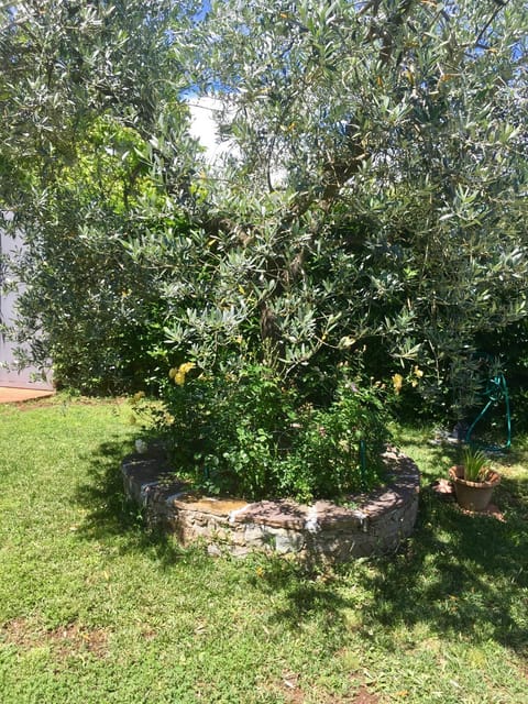 La Casina di Eleonora Apartment in Florence