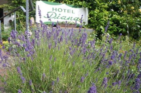 Property logo or sign