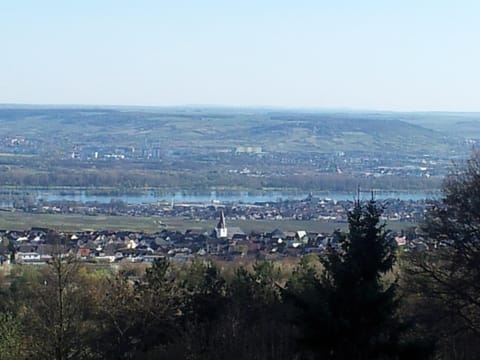 Zum Rebhang Bed & Breakfast Bed and Breakfast in Oestrich-Winkel