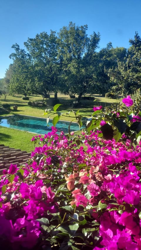 Natural landscape, Garden, Garden, Garden view