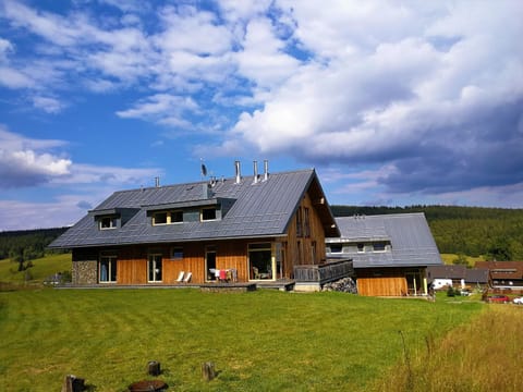 Property building, Summer, Garden