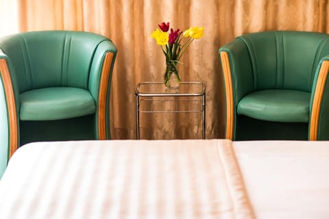 Ambassador Hotel Hotel in Timisoara