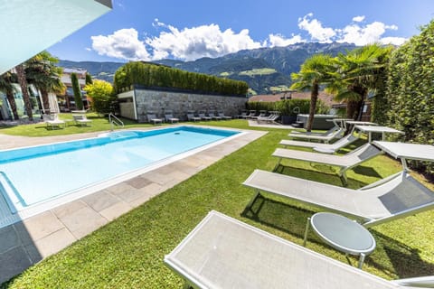 Garden, Pool view, Swimming pool