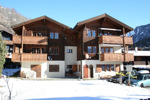Property building, Winter, Living room