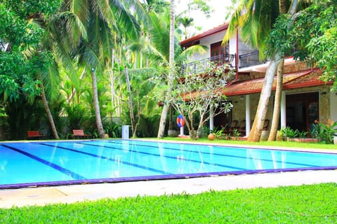 Activities, Swimming pool, Swimming pool