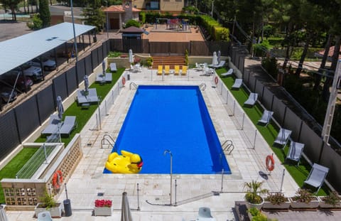 Swimming pool, Swimming pool
