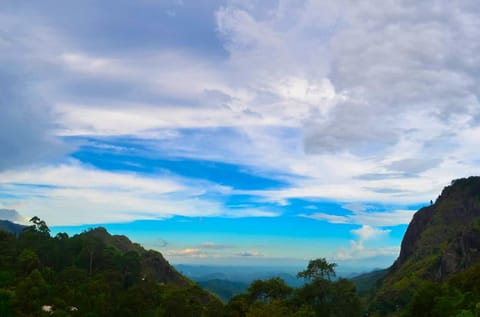 Hiking