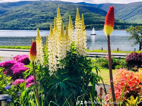 Hillview Guest House Country House in Scotland