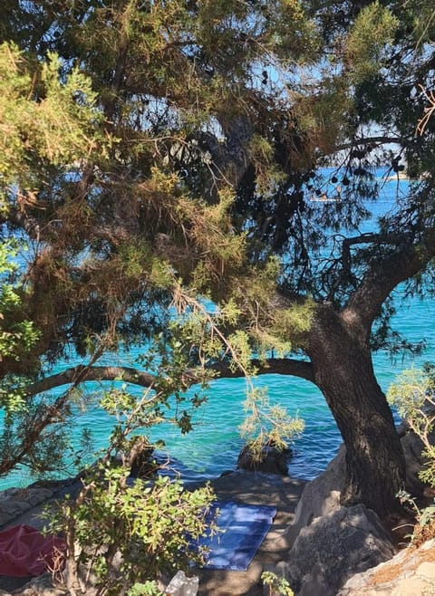 Apartmani Dalmacjia Apartment in Šibenik-Knin County, Croatia