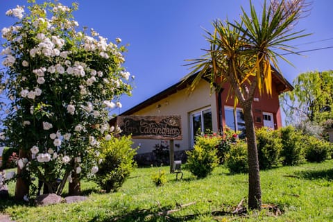 Property building, Facade/entrance, Garden