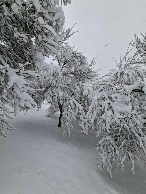 Vikendica NEVEN House in Zlatibor District, Serbia