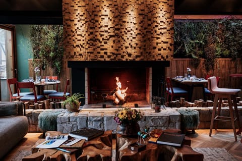 Living room, Lobby or reception, Seating area, fireplace